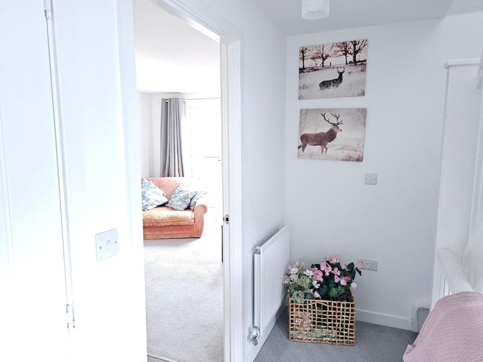 Modern 3 Bedroom Town House Ipswich Exterior photo